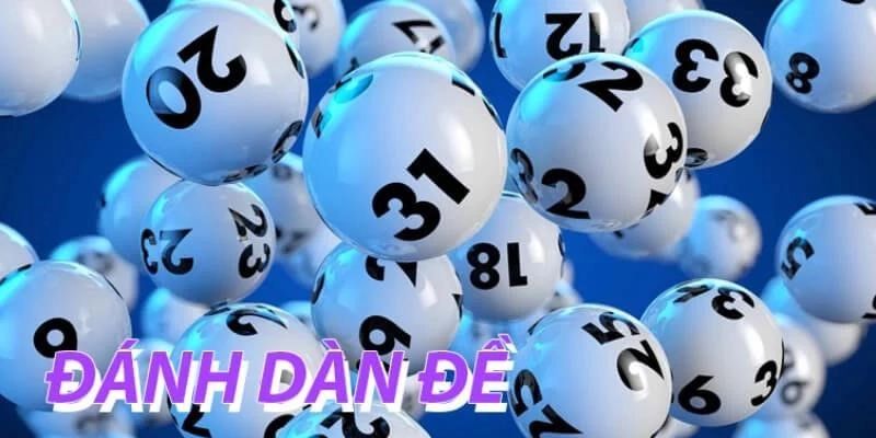 Dàn Đề 3 Càng Chuẩn Nuôi Quanh Năm Theo Chuyên Gia Hi88 3 Lưu ý bạn cần biết khi tiến hành nuôi dàn đề 3 càng