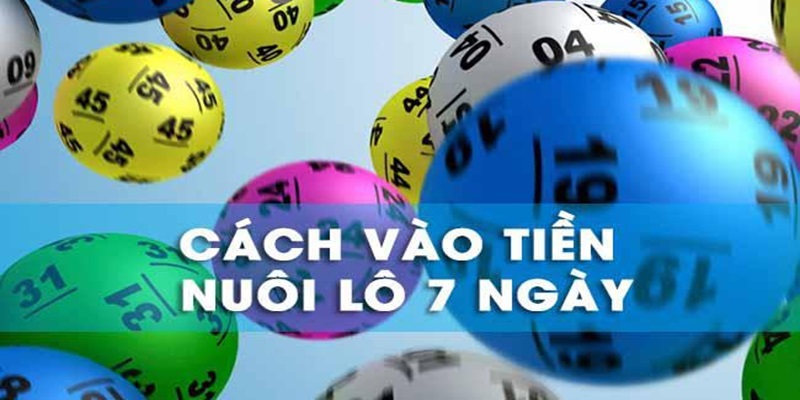 Nuôi Lô 7 Ngày - Bật Mí Kinh Nghiệm Đầu Tư Hiệu Quả 4 Chơi lô 7 ngày có nhiều cách vào tiền khác nhau