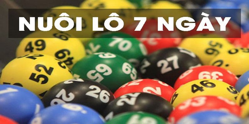 Nuôi Lô 7 Ngày - Bật Mí Kinh Nghiệm Đầu Tư Hiệu Quả 1 Nuôi lô 7 ngày được sử dụng phổ biến